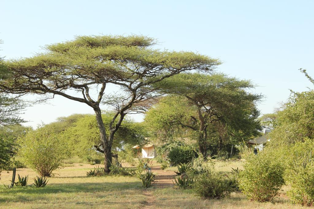 Mapito Tented Camp Serengeti Hotel Exterior photo