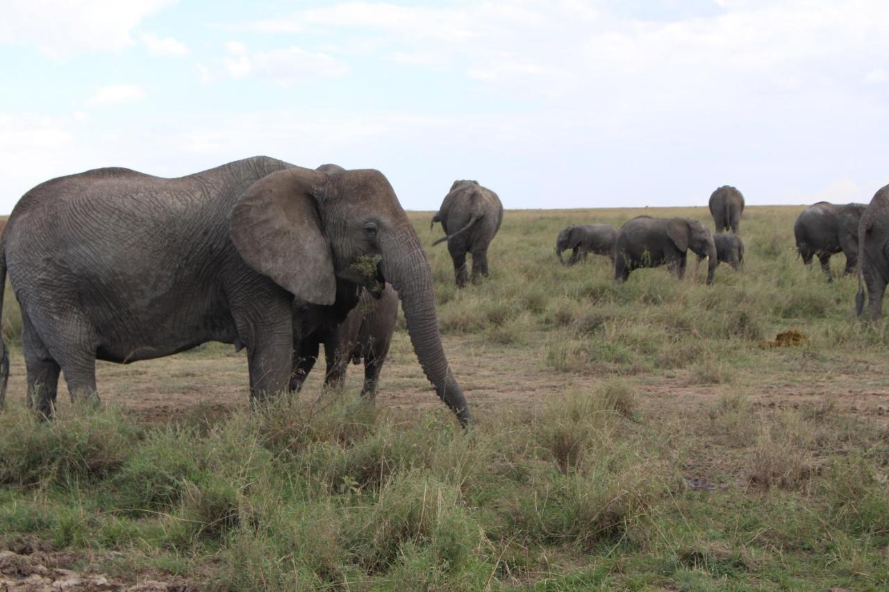 Mapito Tented Camp Serengeti Hotel Exterior photo